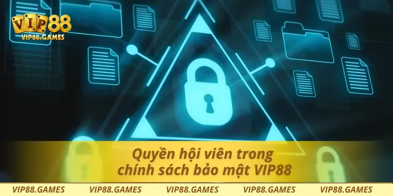 Quyền hội viên trong chính sách bảo mật Vip88